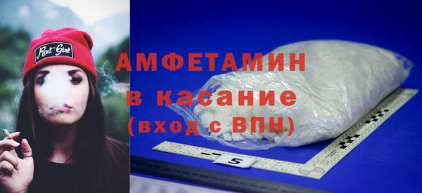 индика Вяземский