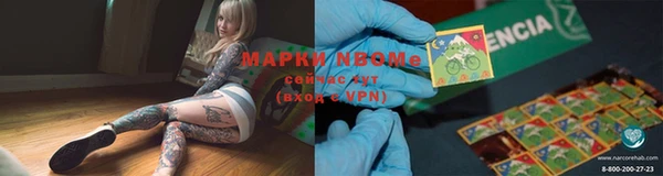 стафф Бронницы