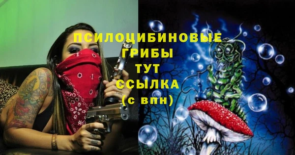 индика Вяземский