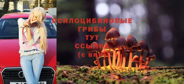 mix Гусиноозёрск