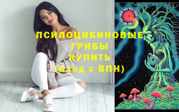 стафф Бронницы