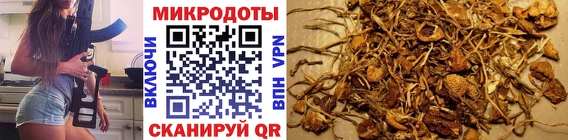 Купить закладки  Ликино-Дулёво  Галлюциногенные грибы ЛСД 